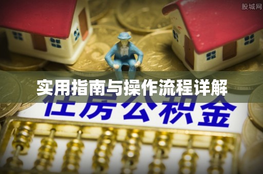 安泽实用指南与操作流程详解